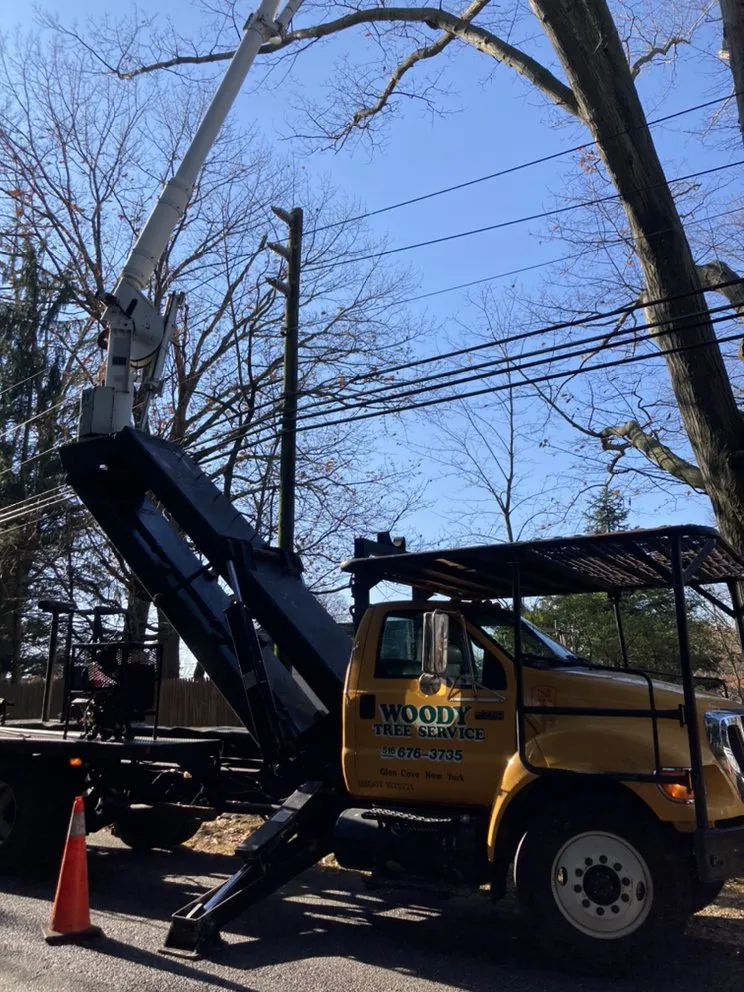 Expert landscape installation experts serving Glen Cove, NY - Woody Tree Service