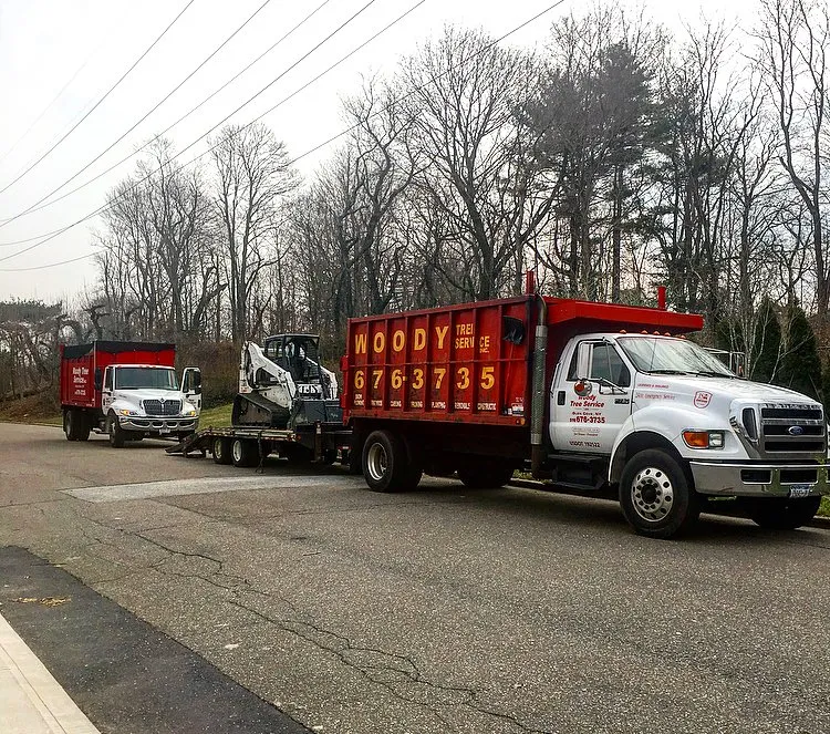 Reliable yard maintenance experts serving Glen Cove, NY - Woody Tree Service