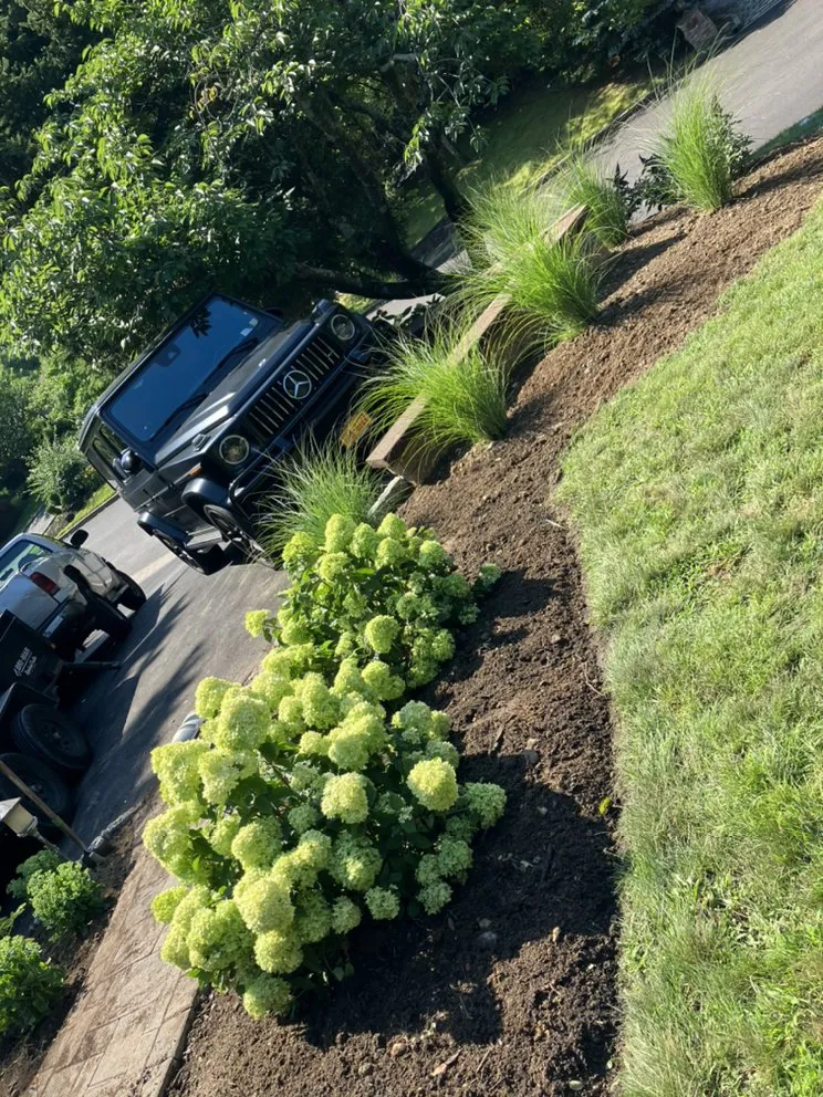 Top-rated yard cleanup service experts serving Glen Cove, NY - Woody Tree Service