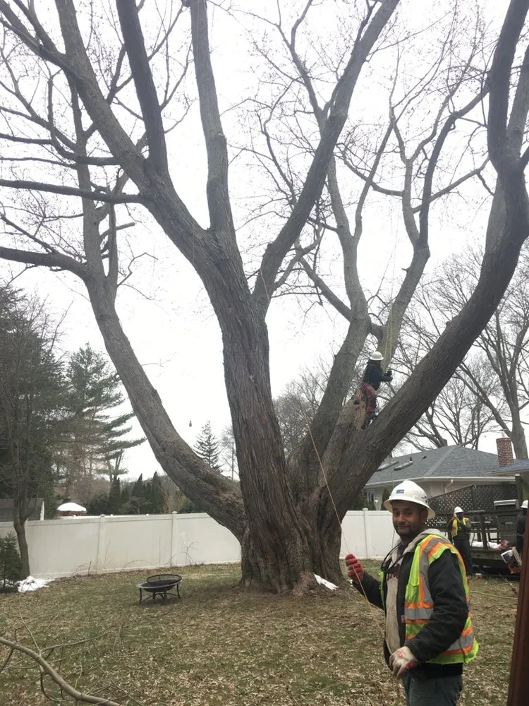 Expert garden landscaping in Glen Cove, NY - Woody Tree Service
