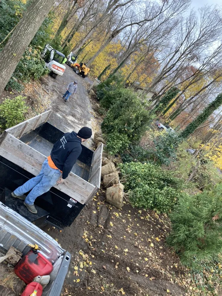Professional yard cleanup service in Glen Cove, NY - Woody Tree Service