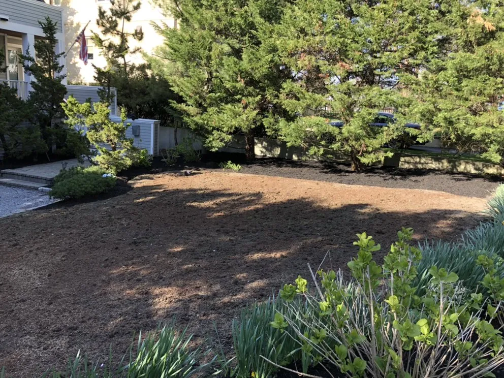 Affordable yard maintenance experts serving Glen Cove, NY - Woody Tree Service