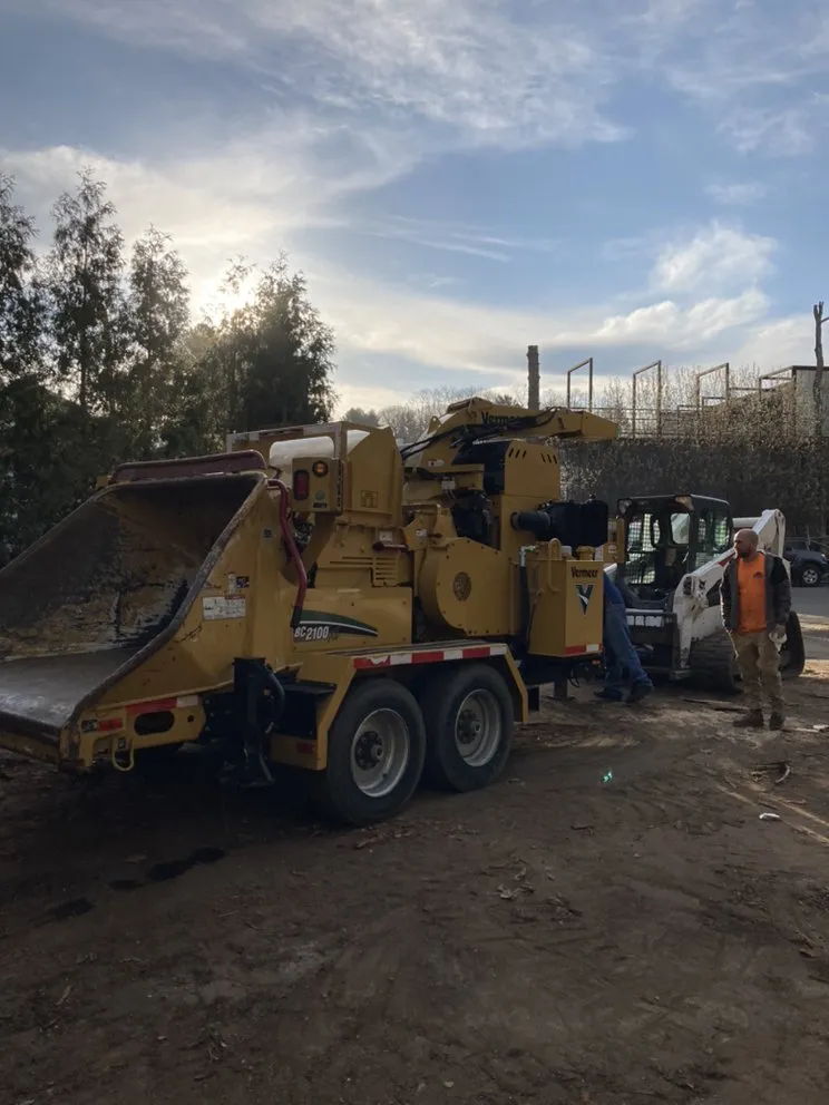 Expert landscape design experts serving Glen Cove, NY - Woody Tree Service