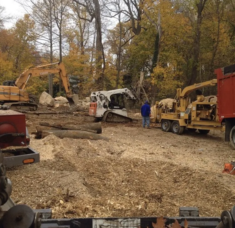 Expert yard maintenance experts serving Glen Cove, NY - Woody Tree Service