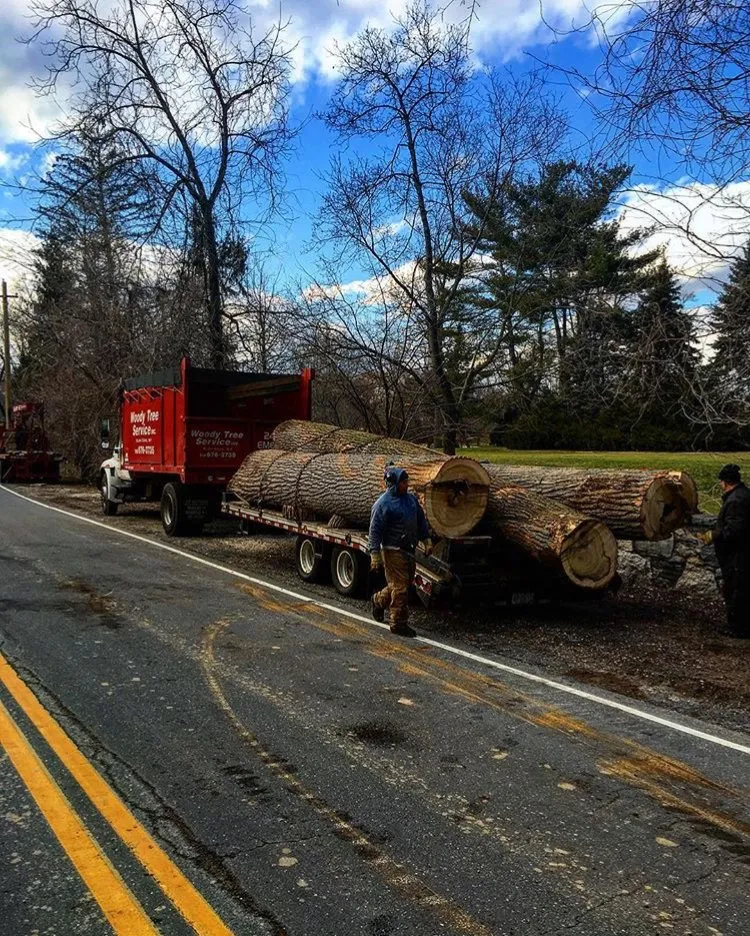 Custom landscape design with custom design across Glen Cove, NY - Woody Tree Service