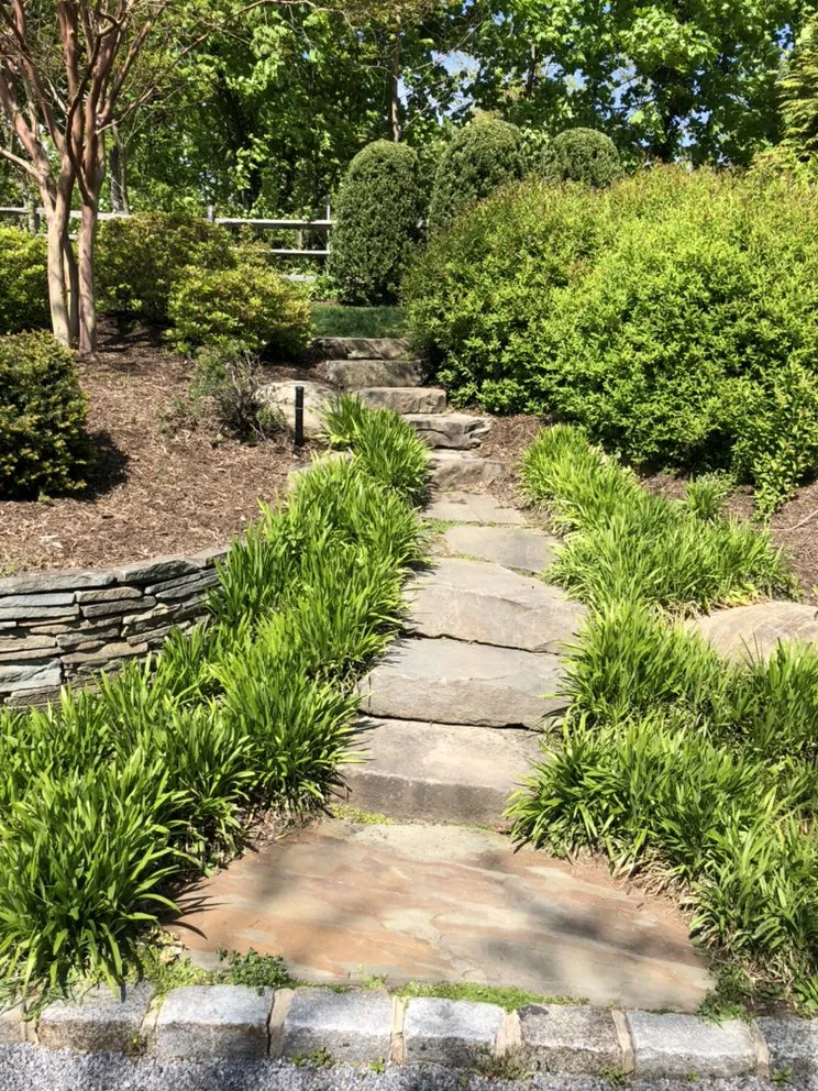 Top-rated lawn care service in Glen Cove, NY - Woody Tree Service