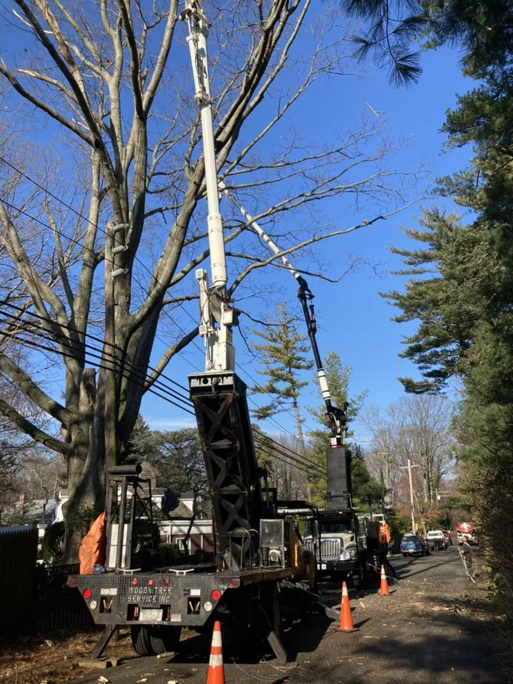 Reliable outdoor landscaping with custom design in Glen Cove, NY by Woody Tree Service