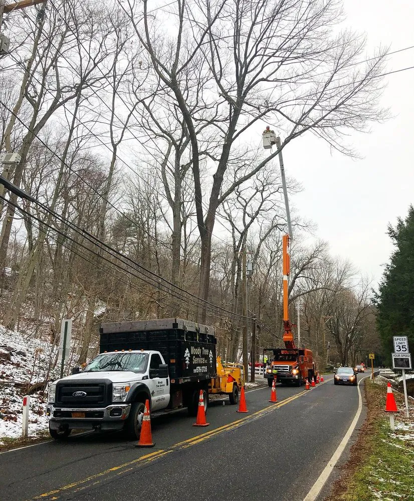 Expert landscaping services in Glen Cove, NY by Woody Tree Service