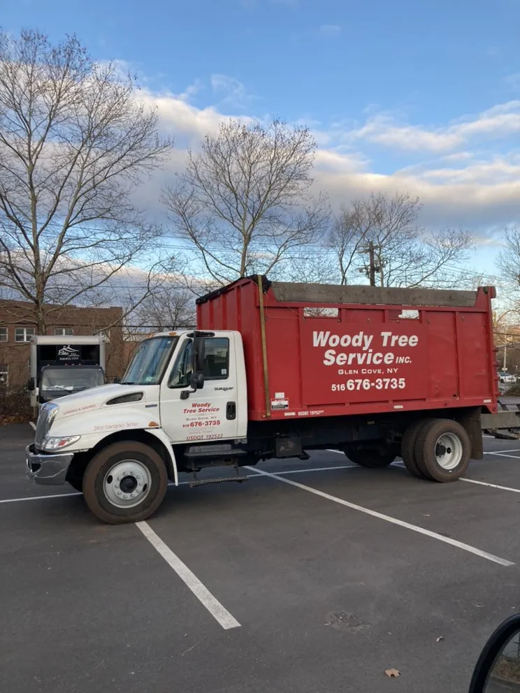 Custom yard cleanup service in Glen Cove, NY - Woody Tree Service