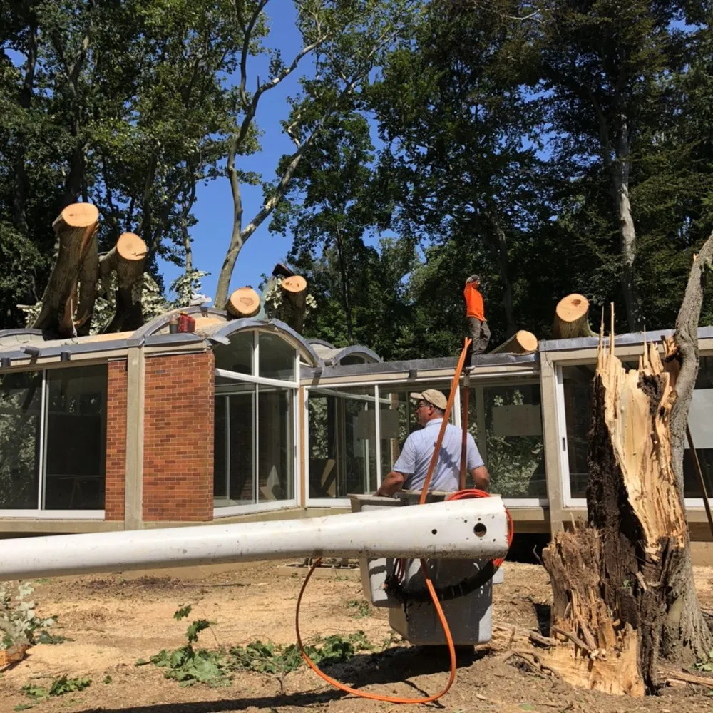 Custom residential landscaping experts serving Glen Cove, NY - Woody Tree Service