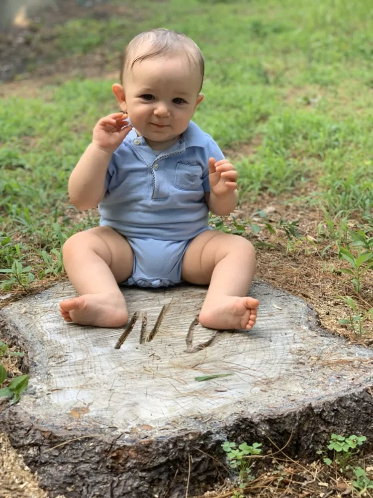 Reliable yard maintenance in Brooklyn, NY - Woody Woodpecker Tree Service