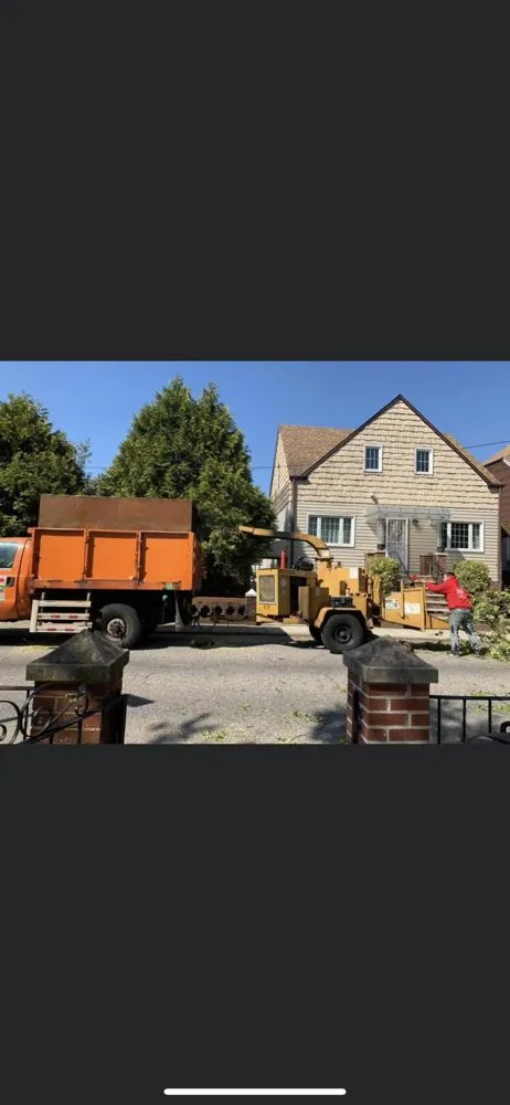 Professional outdoor landscaping in Brooklyn, NY - Woody Woodpecker Tree Service