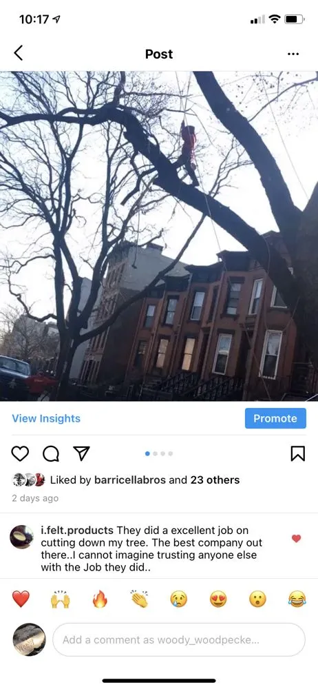 Reliable residential landscaping for outdoor upgrades across Brooklyn, NY - Woody Woodpecker Tree Service