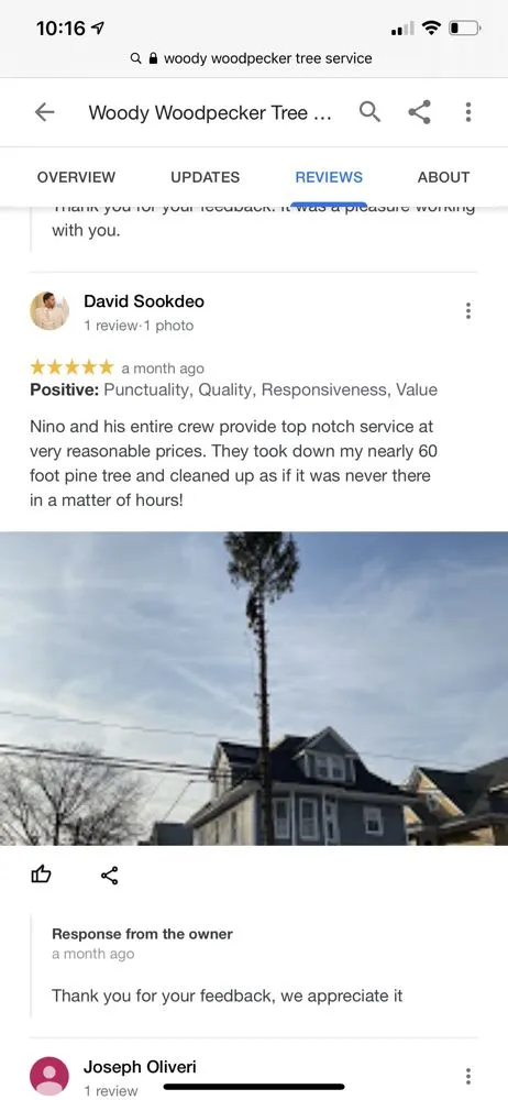 Top-rated residential landscaping experts serving Brooklyn, NY - Woody Woodpecker Tree Service