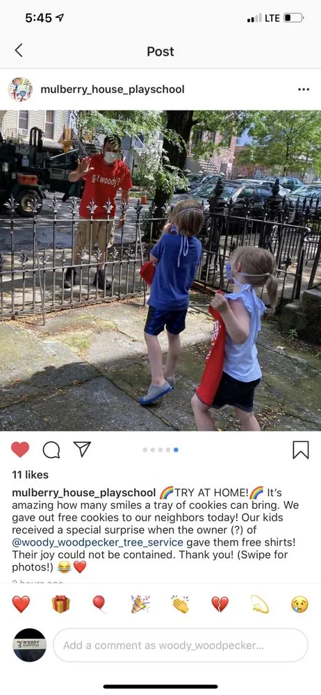 Top-rated residential landscaping near you across Brooklyn, NY - Woody Woodpecker Tree Service