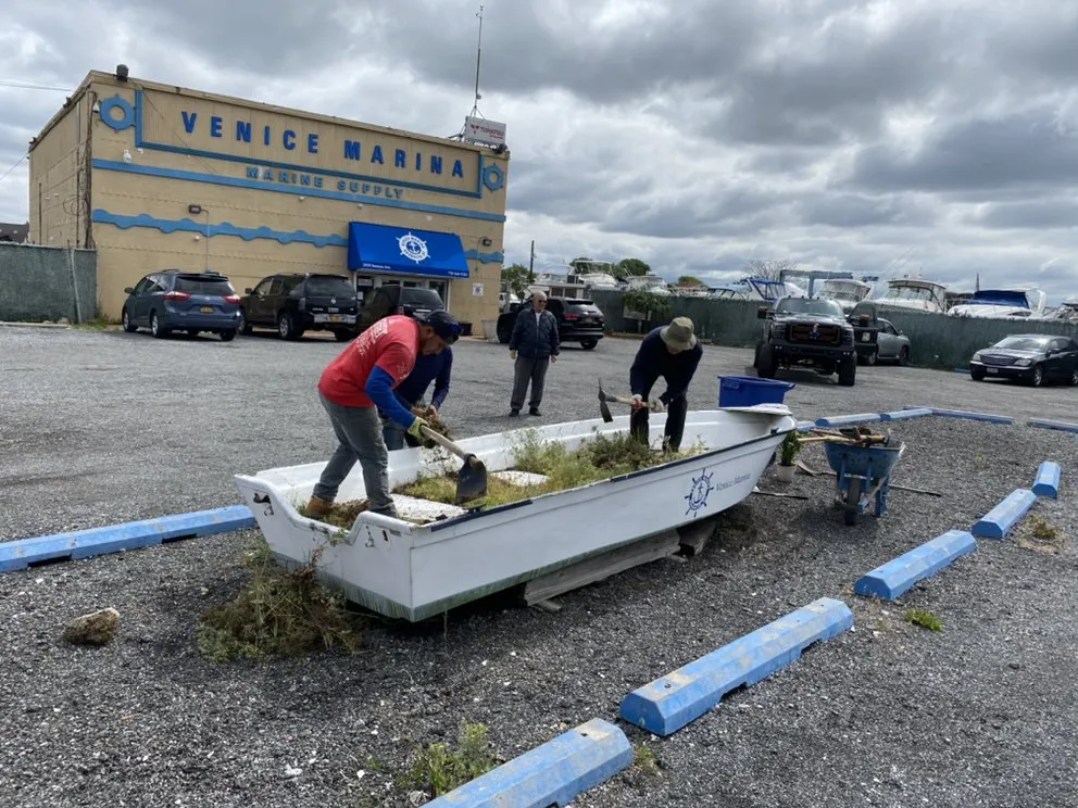 Expert landscaping services in Brooklyn, NY by Woody Woodpecker Tree Service