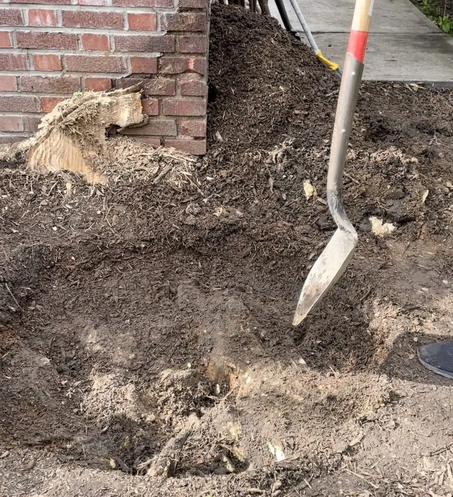 Expert yard cleanup service experts serving Brooklyn, NY - Woody Woodpecker Tree Service