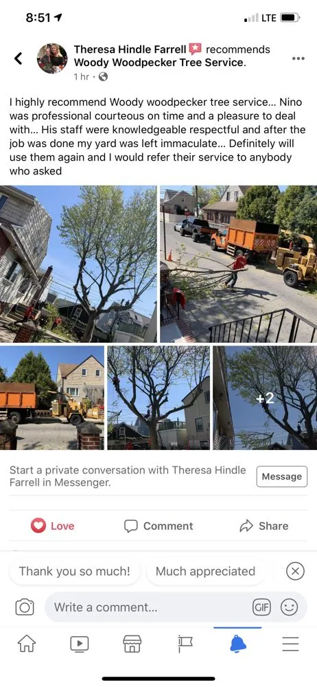 Reliable lawn mowing service in Brooklyn, NY - Woody Woodpecker Tree Service