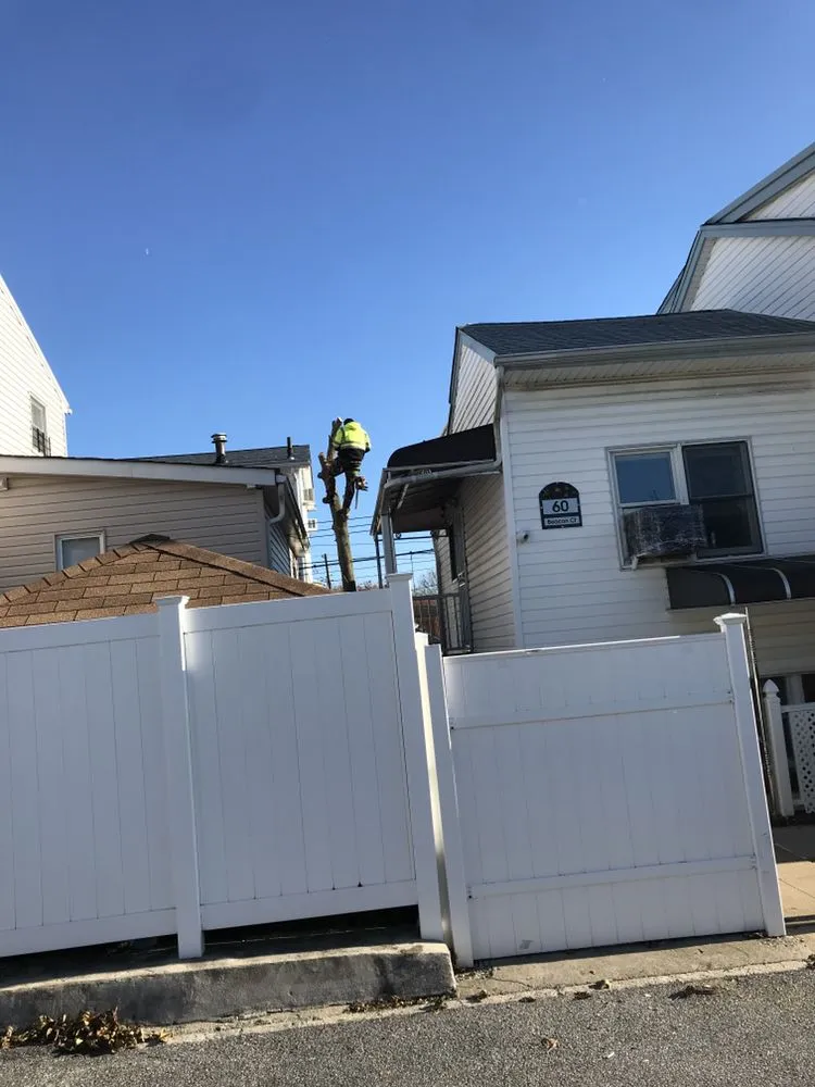 Affordable residential landscaping experts serving Brooklyn, NY - Woody Woodpecker Tree Service