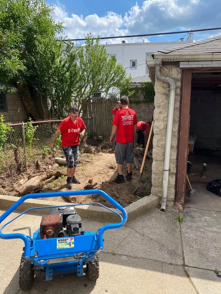 Custom lawn care service with custom design across Brooklyn, NY - Woody Woodpecker Tree Service