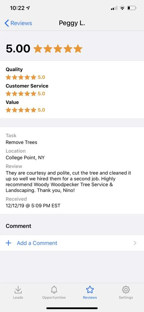 Local landscape design for outdoor upgrades in Brooklyn, NY by Woody Woodpecker Tree Service