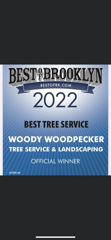 Affordable lawn mowing service in Brooklyn, NY - Woody Woodpecker Tree Service