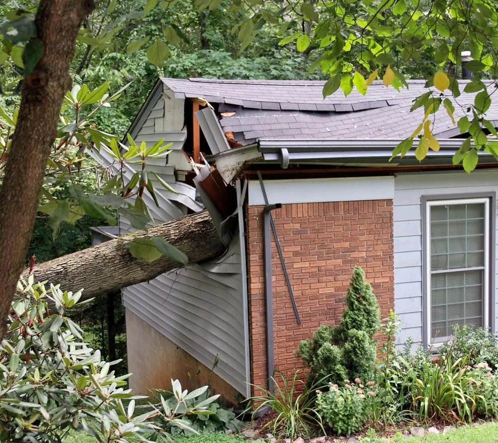 Custom yard maintenance in Spotsylvania, VA by Woodyard's Tree Service