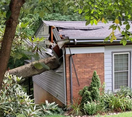 Woodyard's Tree Service Logo