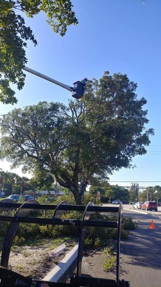 Affordable outdoor landscaping for residential properties in Delray Beach, FL by Woody's Crew - Tree and Landscape