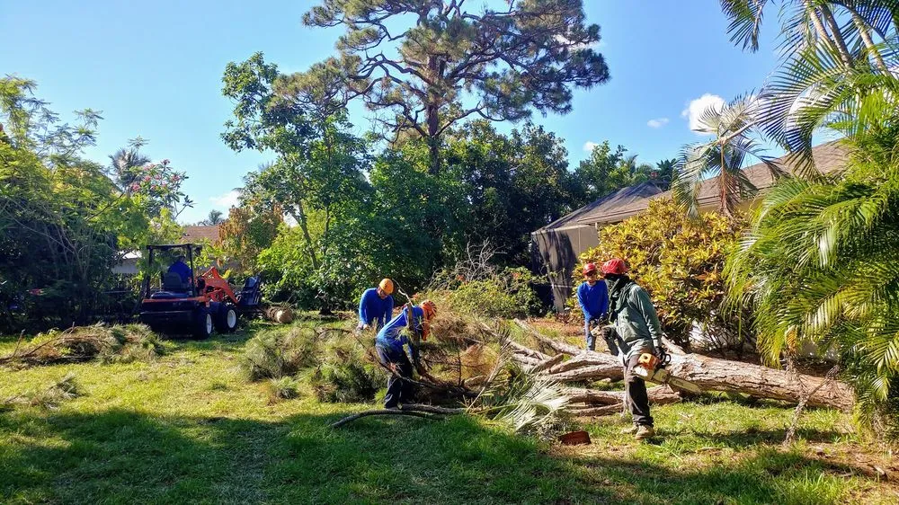 Custom outdoor landscaping experts serving Delray Beach, FL - Woody's Crew - Tree and Landscape