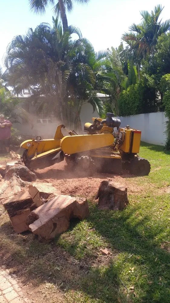 Local landscape design experts serving Delray Beach, FL - Woody's Crew - Tree and Landscape