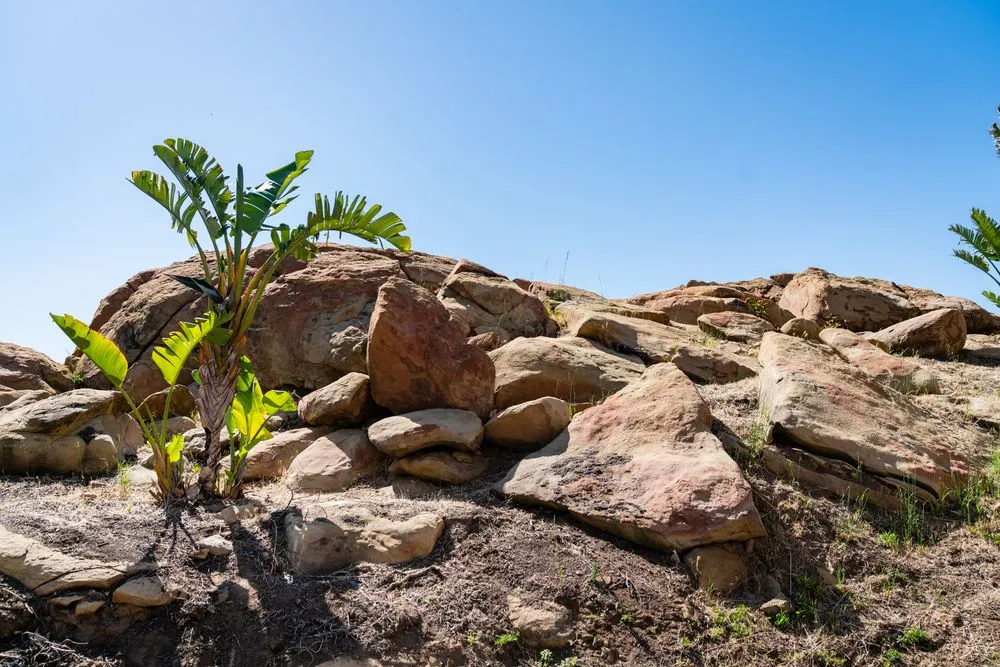 Reliable lawn mowing service experts serving Canoga Park, CA - Woody's Landscape & Masonry