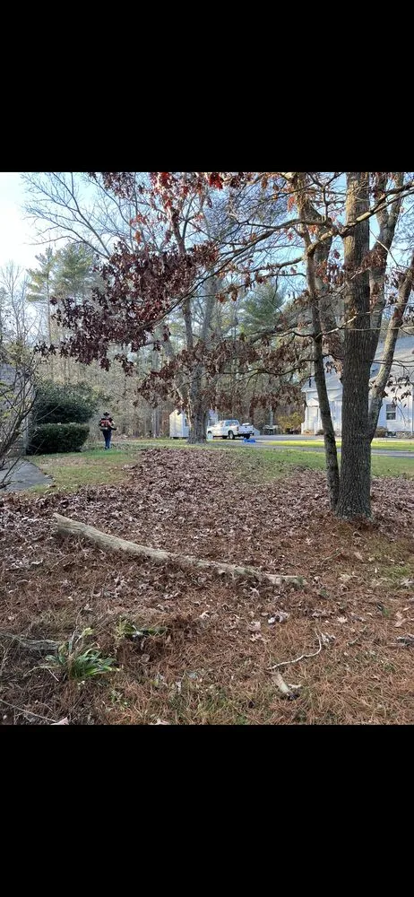 Affordable yard maintenance experts serving Middleborough, MA - Woody’s Landscape