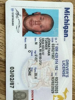 Woody's landscaping and tree service Logo