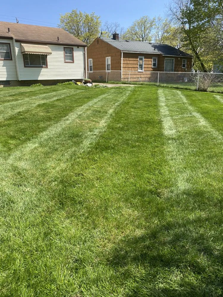Top-rated yard cleanup service for residential properties across Flushing, MI - Woody's Lawn Care