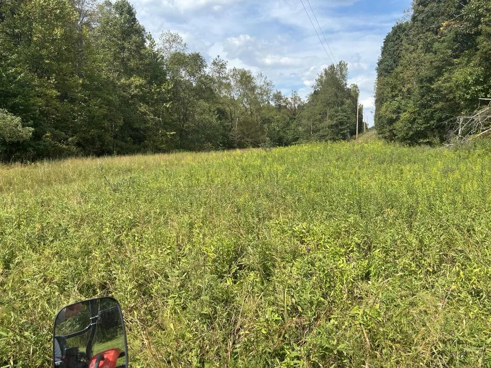 Local garden landscaping experts serving Oak hill, OH - Woody’s Lawn Care