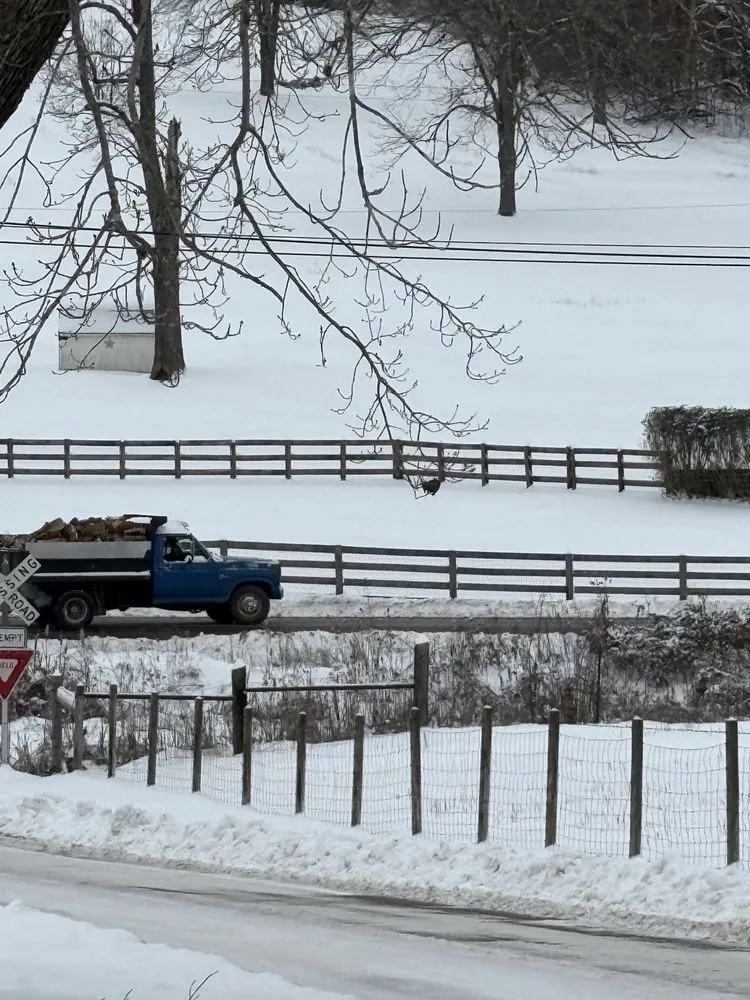 Local yard maintenance experts serving Oak hill, OH - Woody’s Lawn Care