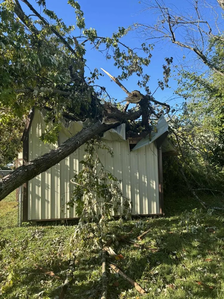 Reliable lawn care service in Oak hill, OH by Woody’s Lawn Care