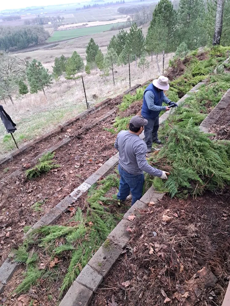 Professional garden landscaping near you in Oregon City, OR by Woody's Lawn Care