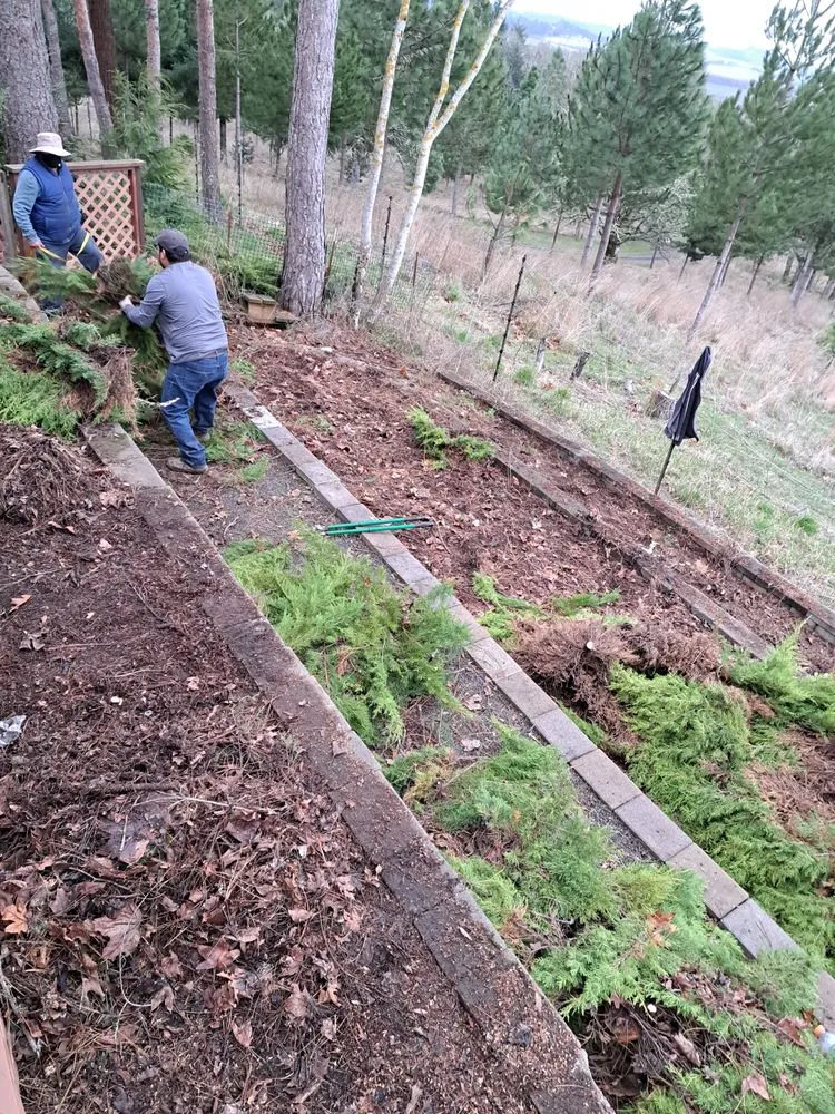 Local landscaping services for beautiful yards in Oregon City, OR by Woody's Lawn Care