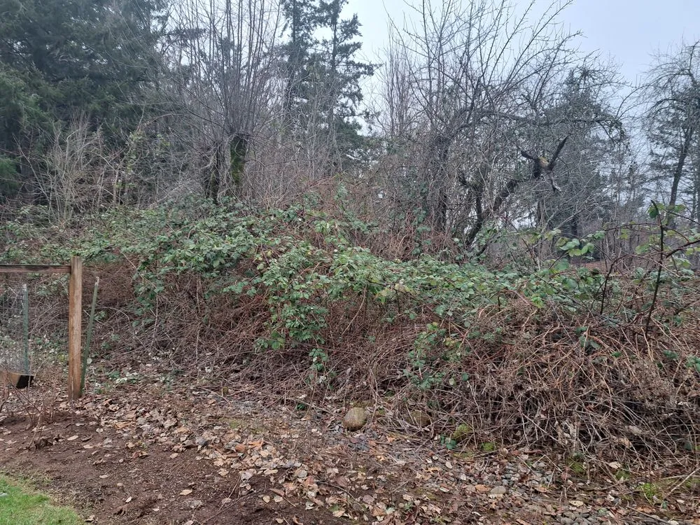 Expert residential landscaping in Oregon City, OR by Woody's Lawn Care