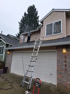 Woody's Lawn Care Logo