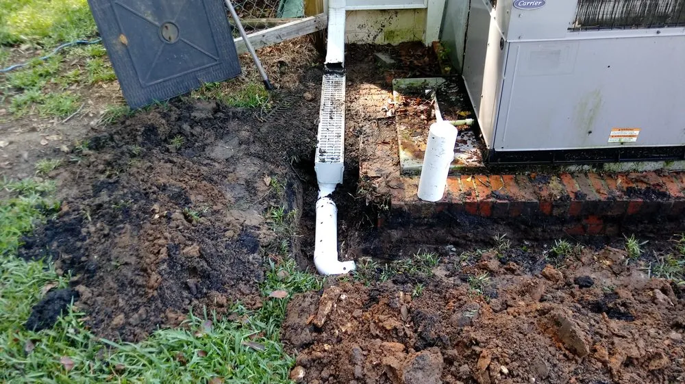 Trusted lawn care service in Tallahassee, FL by Woody's Lawn Restoration & Pressure Washing