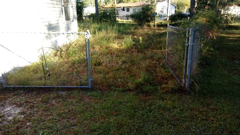 Top-rated yard cleanup service experts serving Tallahassee, FL - Woody's Lawn Restoration & Pressure Washing