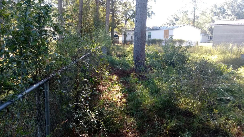 Top-rated landscape design in Tallahassee, FL - Woody's Lawn Restoration & Pressure Washing