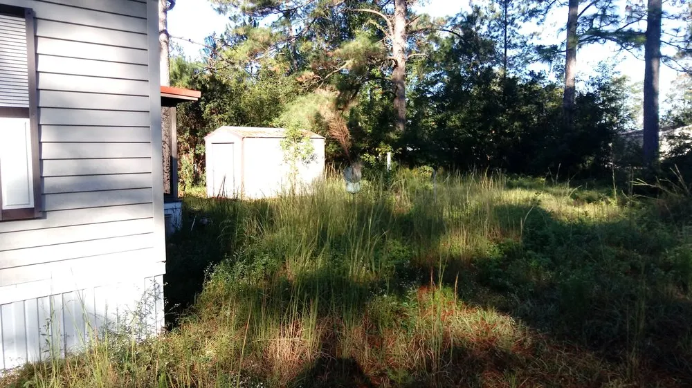 Trusted lawn mowing service in Tallahassee, FL - Woody's Lawn Restoration & Pressure Washing