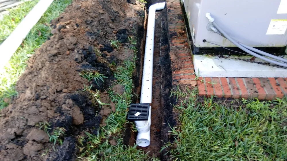 Top-rated yard maintenance in Tallahassee, FL - Woody's Lawn Restoration & Pressure Washing