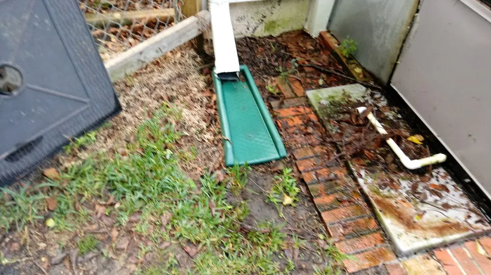 Affordable residential landscaping in Tallahassee, FL - Woody's Lawn Restoration & Pressure Washing