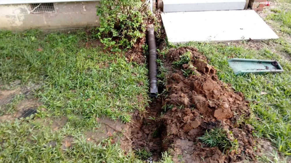 Expert landscaping services in Tallahassee, FL by Woody's Lawn Restoration & Pressure Washing