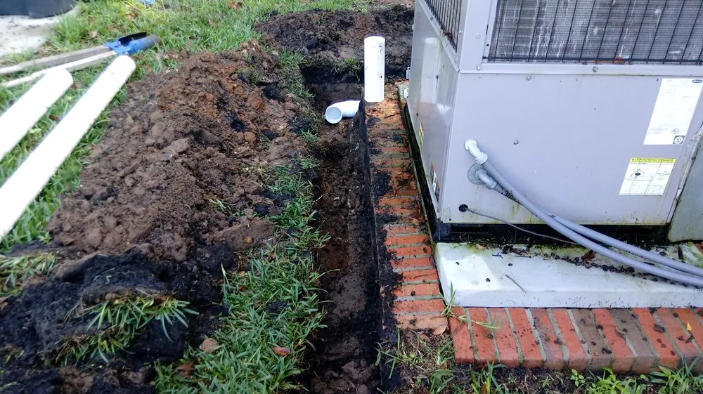 Local outdoor landscaping in Tallahassee, FL by Woody's Lawn Restoration & Pressure Washing